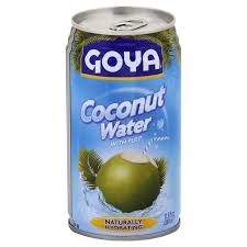 Goya Coconut Water 350ml